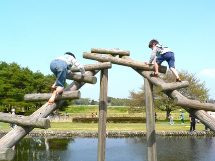 子供の頃に体を動かしてたから、物理の問題がわかる
